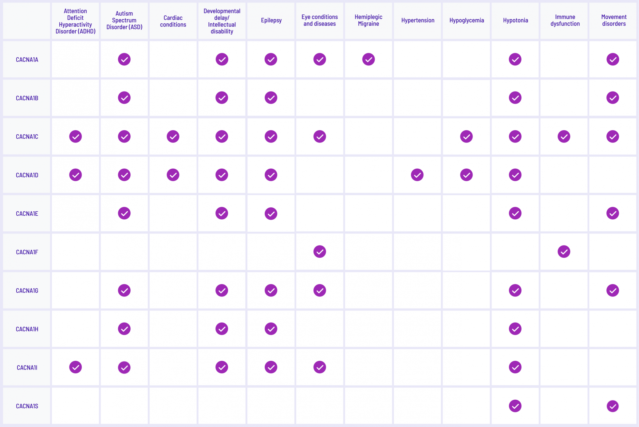 A table displaying associations between CACNA genes and medical conditions. The first column lists CACNA genes: CACNA1A, CACNA1B, CACNA1C, CACNA1D, CACNA1E, CACNA1F, CACNA1G, CACNA1H, CACNA1I, and CACNA1S. The top row lists medical conditions: Attention Deficit Hyperactivity Disorder (ADHD), Autism Spectrum Disorder (ASD), Cardiac conditions, Developmental delay/Intellectual disability, Epilepsy, Eye conditions and diseases, Hemiplegic Migraine, Hypertension, Hypoglycemia, Hypotonia, Immune dysfunction, and Movement disorders. Each cell in the table represents whether a gene is associated with a specific condition. A purple checkmark (✔) indicates an association, while an empty cell indicates no known association. CACNA1A is associated with Autism Spectrum Disorder, Epilepsy, Hemiplegic Migraine, and Hypotonia. CACNA1B is associated with Autism Spectrum Disorder and Epilepsy. CACNA1C is associated with Autism Spectrum Disorder, Developmental delay/Intellectual disability, and Epilepsy. CACNA1D is associated with Autism Spectrum Disorder, Developmental delay/Intellectual disability, Epilepsy, and Hypertension. CACNA1E is associated with Autism Spectrum Disorder and Epilepsy. CACNA1F is associated with Eye conditions and diseases. CACNA1G is associated with ADHD, Autism Spectrum Disorder, Epilepsy, and Movement disorders. CACNA1H is associated with ADHD, Autism Spectrum Disorder, Epilepsy, and Hypertension. CACNA1I is associated with Autism Spectrum Disorder and ADHD. CACNA1S is associated with Hypotonia and Immune dysfunction. This table visually presents the link between specific CACNA genes and various medical conditions to aid in understanding genetic associations.